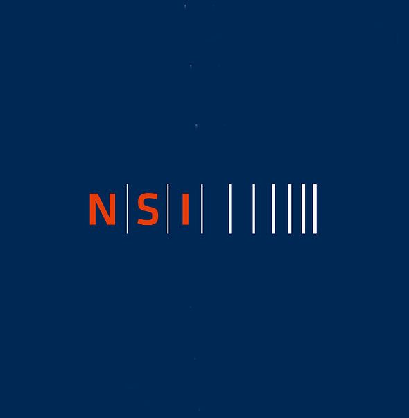 Logo_NSI